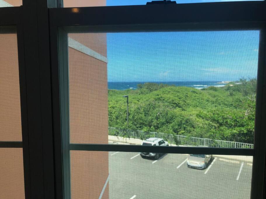 Haudimar Ph Beachfront Apt 4Br/3Bath อิซาเบลา ภายนอก รูปภาพ